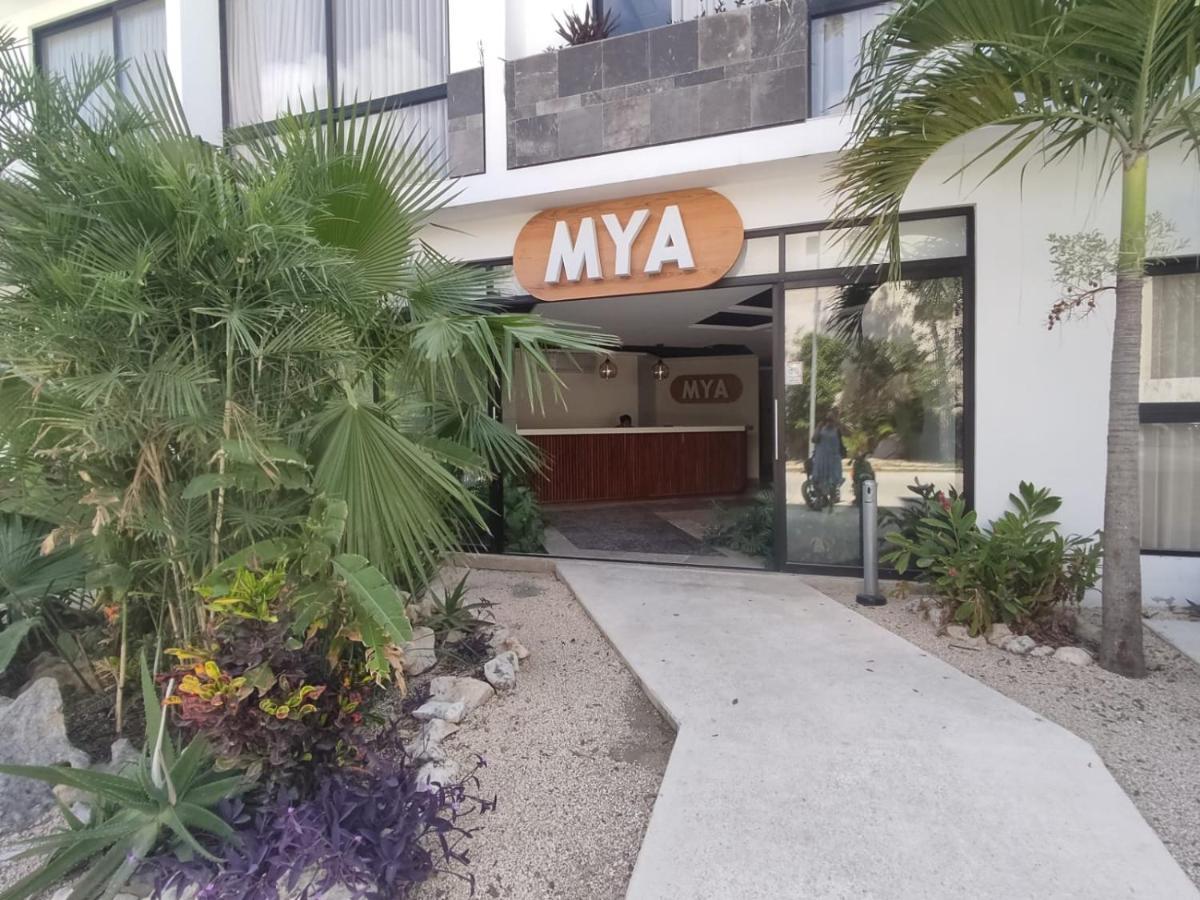 Nuevo Estudio Con Terraza Totalmente Equipado Tulum Aldea Zama Exterior photo